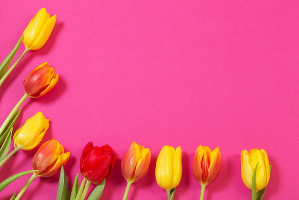 red and yellow tulips on pink background - Foto, immagini