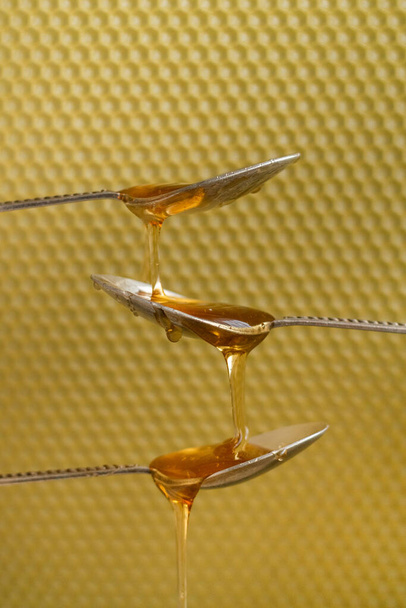 Cucharas con miel cruda en el fondo del peine de abeja, concepto de nutrición saludable - Foto, imagen