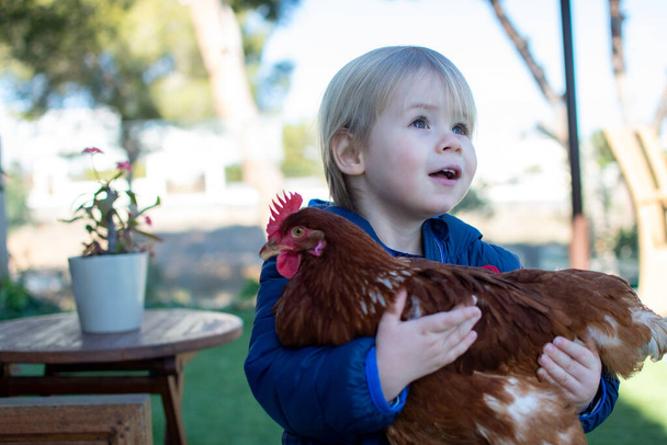 Bonito menino sorridente segurando uma galinha em suas mãos. - Foto, Imagem