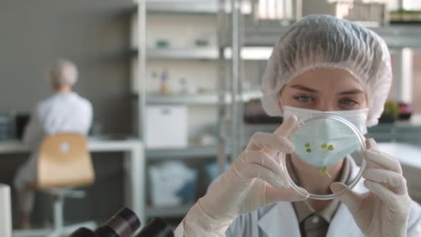 Sağlık şapkası, eldiven ve genel olarak iş yerinde oturmuş bitki yapraklarıyla Petri kabını incelerken orta boy beyaz bir kadın fotoğrafı. - Video, Çekim