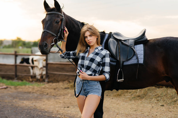 A young pretty girl rider poses near a thoroughbred stallion on a ranch. Horse riding, horse racing - Fotoğraf, Görsel