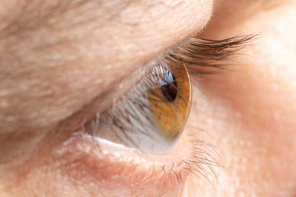 Gesundes menschliches Auge, normales Makrofoto der Hornhaut. Menschenwimpern, sieh an. Für Augenklinik, Weitsichtigkeit, Kurzsichtigkeit. - Foto, Bild