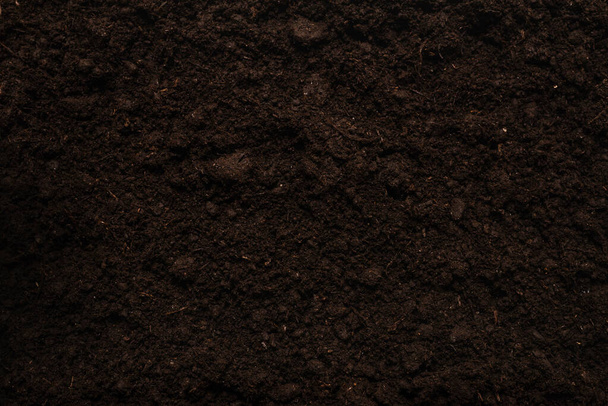 Fekete föld növényi háttérnek. Felülnézet.  - Fotó, kép