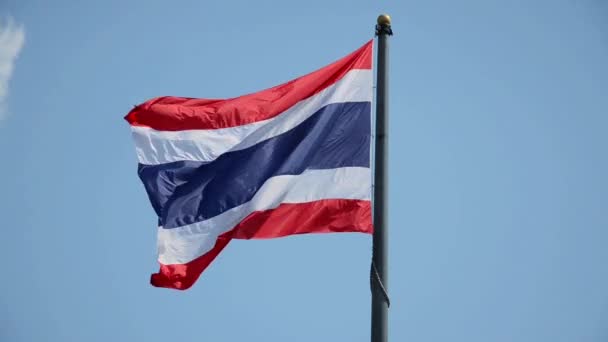 National flag of thailand - Imágenes, Vídeo