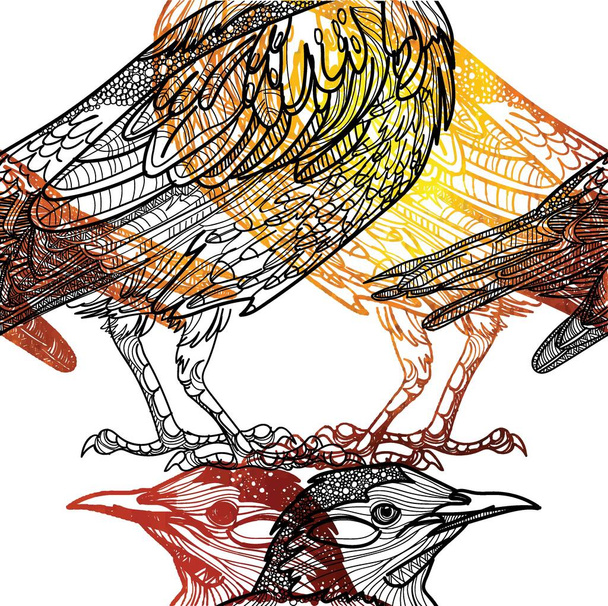 Seamless pattern with birds. Meditative coloring, patterns. Many details, antistress coloring. Mandala. Points, stripes. Vintage drawing by hand. - Vektor, obrázek