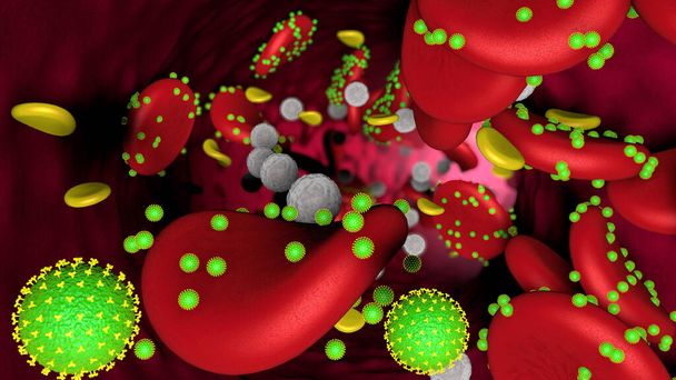3D модель зеленого коронавірусу, що атакує еритроцити в крові з білими кров'яними клітинами і тромбоцитами всередині вени. 3D ілюстрації
 - Фото, зображення