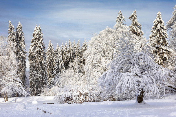 Kilátás a római Feldberg erődre télen, Taunus, Hessen, Németország - Fotó, kép