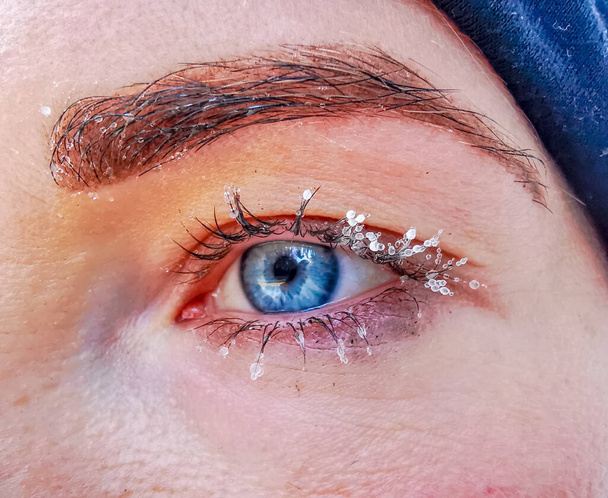 Βαθύ μπλε γυναικείο μάτι με παγωμένες βλεφαρίδες - Φωτογραφία, εικόνα