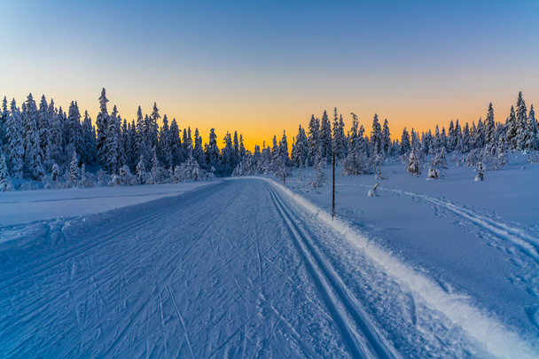 Cross country skiing slope running through a snow covered frozen forest at dusk. High quality photo - Fotó, kép