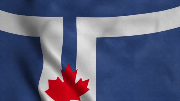 Flag of Toronto waving in wind. Realistic Toronto flag background - Footage, Video