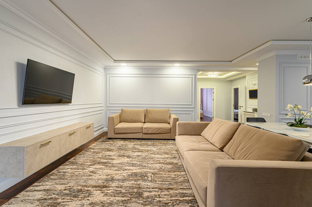 Luxus szürke és fehér modern konyha és nappali - Fotó, kép