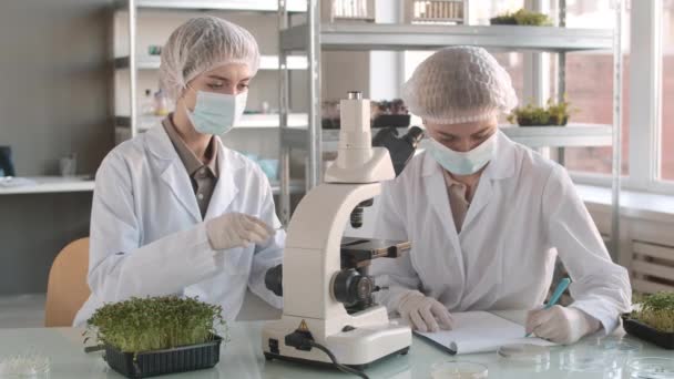 Tiro médio de duas jovens cientistas caucasianas vestindo máscaras médicas e fazendo pesquisa de plantas usando microscópio em laboratório - Filmagem, Vídeo