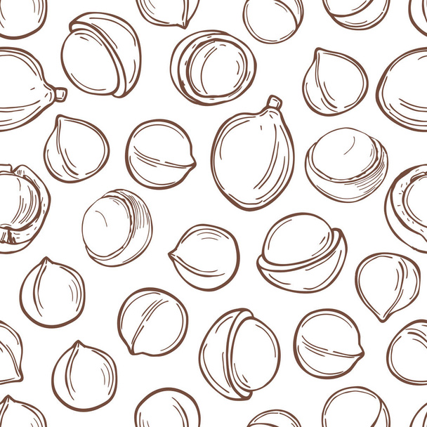 Käsin piirretyt pähkinät. Macadamia valkoisella pohjalla. Vektorisaumaton kuvio. - Vektori, kuva
