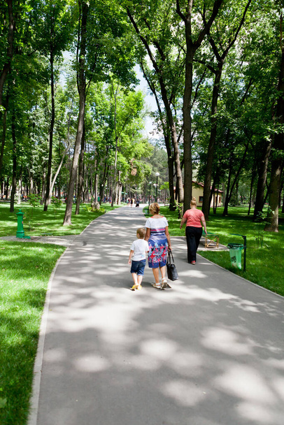 Allées et sentiers du parc avec de grands arbres verts par une journée ensoleillée le long de laquelle les gens marchent - Photo, image