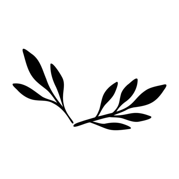 Foglie di silhouette nera sui rami. Illustrazione vettoriale piatta isolata su sfondo bianco. Pianta foglie silhouette.  - Vettoriali, immagini