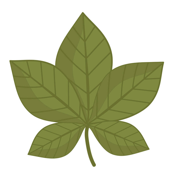 ecología de la hoja botánica icono de dibujos animados estilo aislado - Vector, imagen