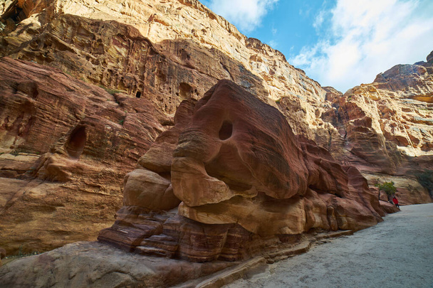 Petra Elephant rock без людей - Фото, изображение