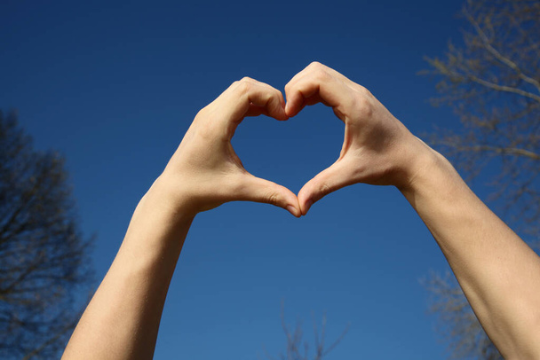 руки в форме сердца любви - Фото, изображение