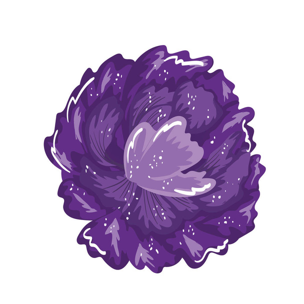 μοβ λουλούδι floral διακόσμηση ζωγραφική απομονωμένο σχέδιο - Διάνυσμα, εικόνα