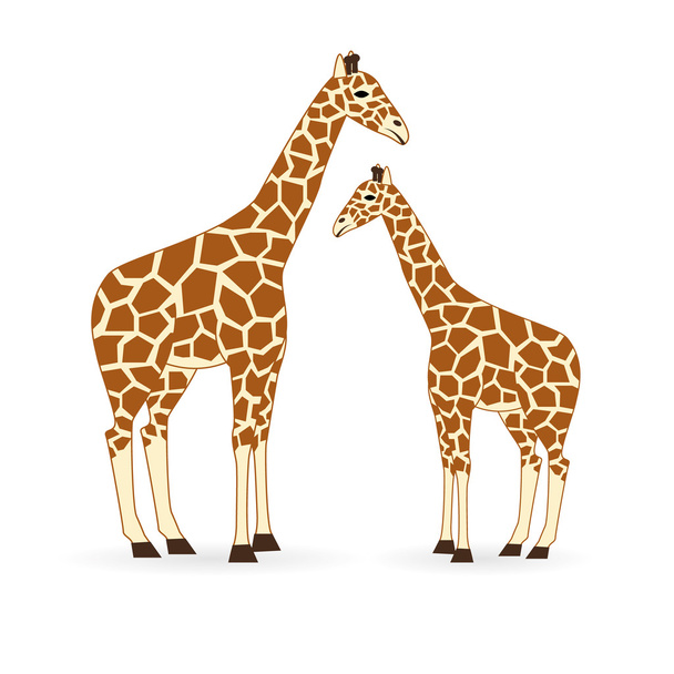 giraffe - Vektor, Bild