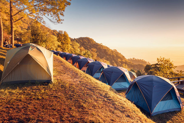 Tourist Camp Teltta ja terassi mäntypuiden alla metsä auringonnousun aikana, kenttä Leirintäalue Leirintäalue Seikkailu ulkona ja vapaa-ajan toimintaa. Matkailu, Matkailu Elämäntavat - Valokuva, kuva