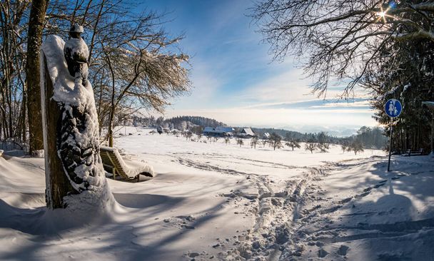 Тур на снегоступах в зимней стране чудес на Гебберге у Боденского озера - Фото, изображение