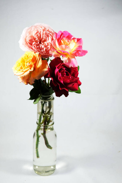 Colorful roses in transparent vase on white background - Foto, afbeelding