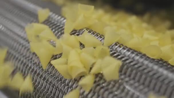 Productie fabriek lijn beweegt aardappel snackes. Productielijn van de deegwarenfabriek, deegwaren. - Video