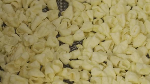 Production factory line moves golden potato chips after frying. Production line of the pasta factory - Footage, Video