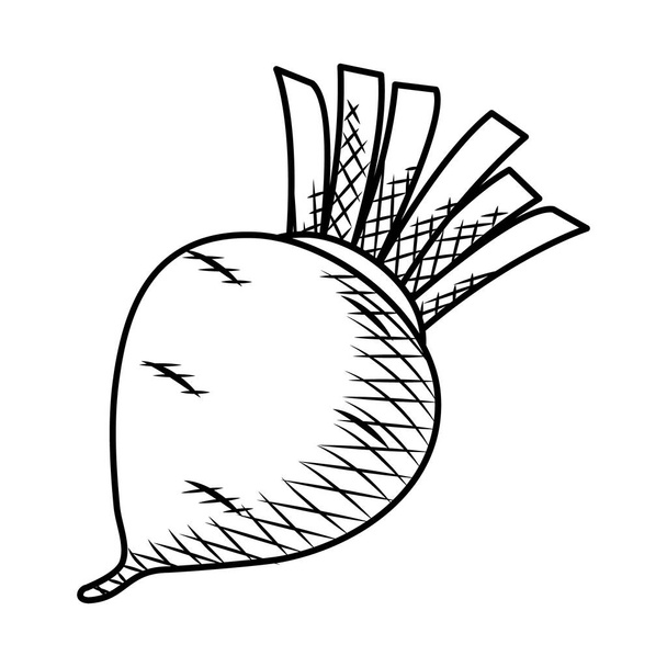 radish vegetable icon, hand draw style - Διάνυσμα, εικόνα