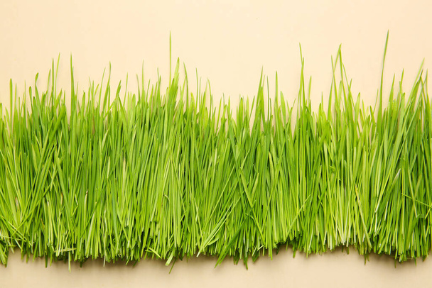 Свежая зеленая пшеница на цветном фоне - Фото, изображение