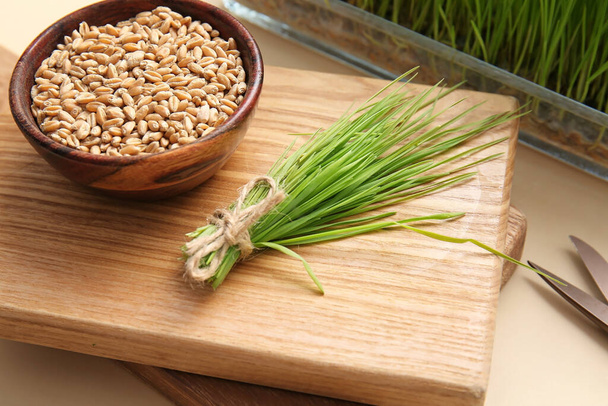 Świeża trawa pszenna i nasiona w misce na tle koloru - Zdjęcie, obraz
