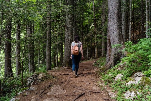 A female with a backpack on a hiking trail in the forest - Foto, Imagen