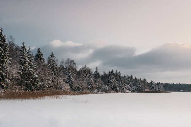 A mesmerizing winter landscape with snowy forest - perfect for wallpaper - Photo, image