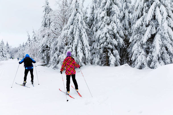 Güzel bir kış gününde kayak yapan bir grup insan. Almanya 'da Kros Kayağı, Karlı Ormanda. - Fotoğraf, Görsel