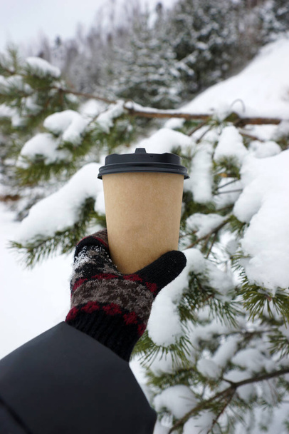 Woman holding paper cup of coffee in hand on background of coniferous plants - Foto, immagini
