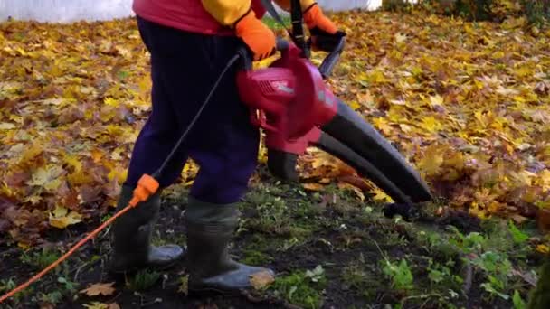 Mann bläst Herbstlaub beim Putzen im Freien. Moderner Laubbläser - Filmmaterial, Video