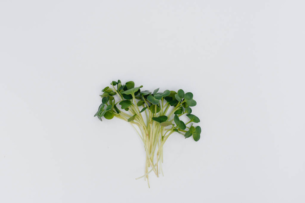Micro-green sprouts close-up on a white background with free space. Healthy food and lifestyle - Valokuva, kuva
