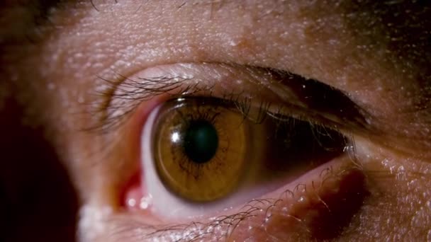 Primo piano video di maschio lampeggiante occhio marrone - Filmati, video