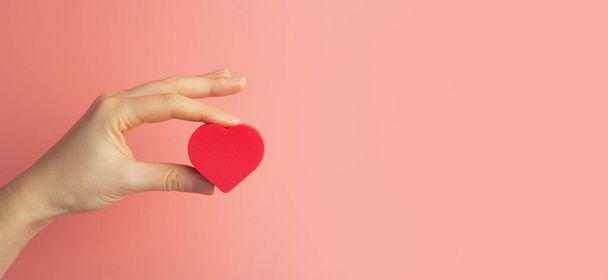 Heart in the hands of a female on a colored banner background. Donation, charity, health treatment, help concept. Background for Valentine's Day (February 14) and love. - Photo, Image