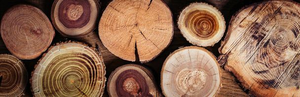 Dřevěné úlomky. Kusy stromu. Dlouhý nápis - Fotografie, Obrázek