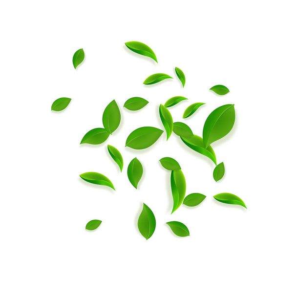 Falling green leaves. Fresh tea chaotic leaves fly - Vector, Image