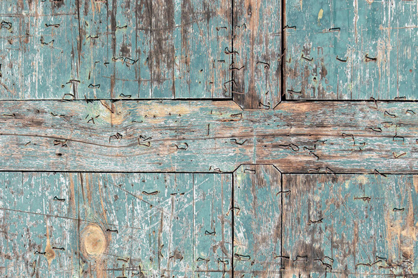 Old wood texture background with teal colored chipped paint and staples  - Фото, изображение