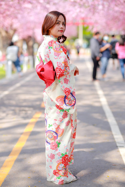 Portrét cestovatele mladé asijské ženy nosit šaty yukata a chůzi na stromové cestě v Japonsku třešeň kvetoucí sakura park za slunečního světla odpoledne. - Fotografie, Obrázek