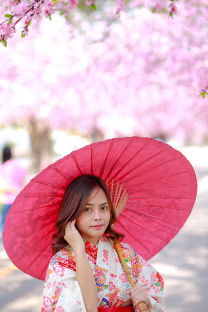 Porträt einer Reisenden junge asiatische Frau trägt ein Kleid Yukata und zu Fuß auf dem Baumweg in Japan Kirschblüten Sakura Park bei Sonnenlicht Nachmittag. - Foto, Bild