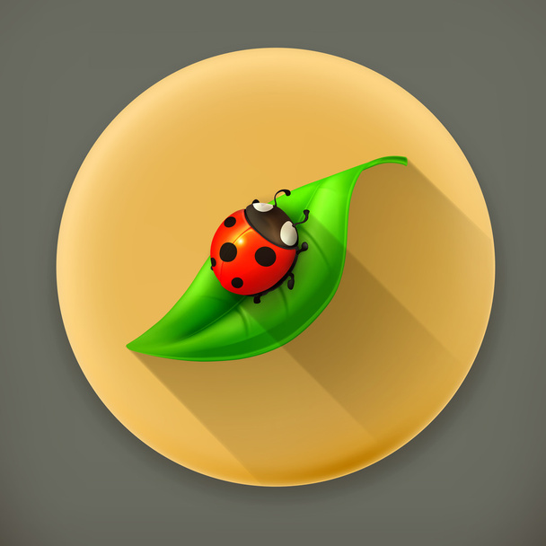 Ladybug on green leaf long shadow vector icon - Διάνυσμα, εικόνα