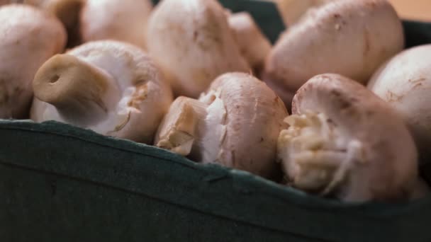 Close up of uncooked fresh raw royal champignon mushrooms in a green plastic box. Concept. White mushrooms in a plastic container ready for cooking. - Footage, Video