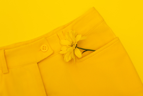vue du haut de la fleur dans la poche du pantalon isolé sur jaune - Photo, image