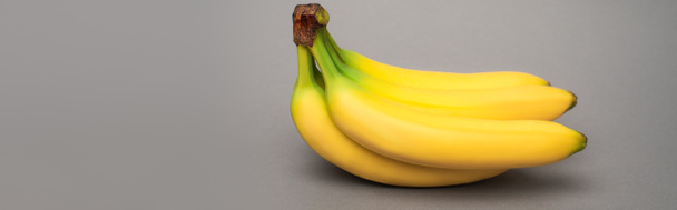 keltaiset kypsät banaanit harmaalla pohjalla, banneri - Valokuva, kuva