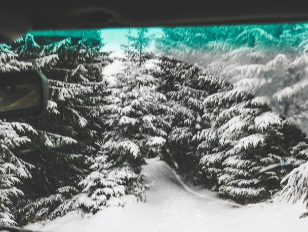 Offroad autorit door de Oekraïense Karpaten in de winter. Uitzicht vanuit het raam, kerstboom en besneeuwde weg. Externe expeditie. IJs. - Foto, afbeelding